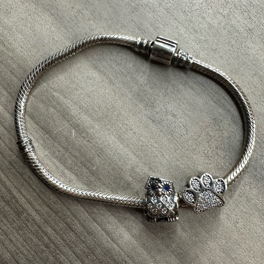 Pandora Charm Bracelet